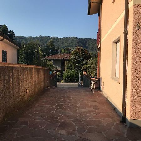 Villa Ester Camaiore Eksteriør bilde